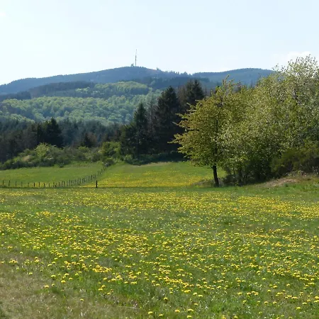 Cosy With Garden In The Sauerland