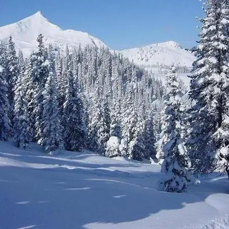 בית נופש Christina