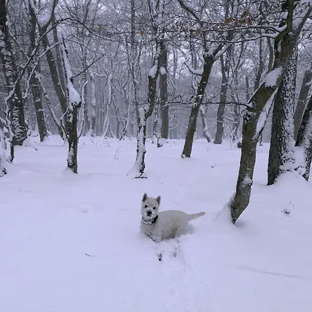 Casa de Férias Christina
