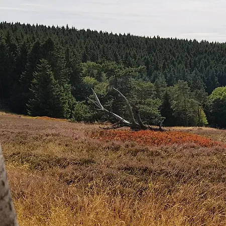 Christina Casa de Férias *