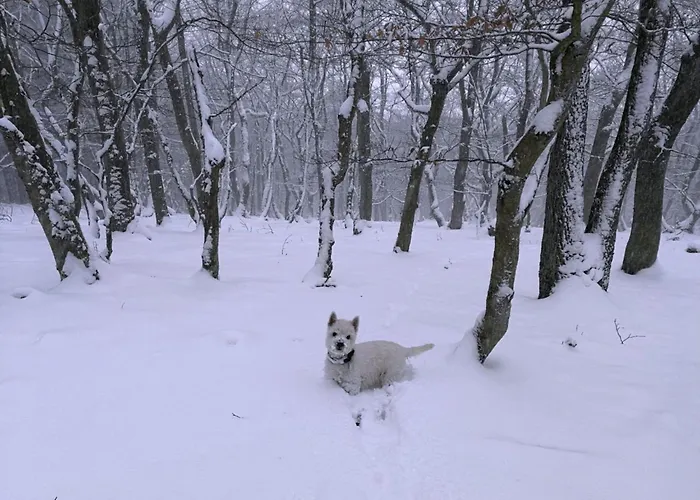 בית נופש Christina