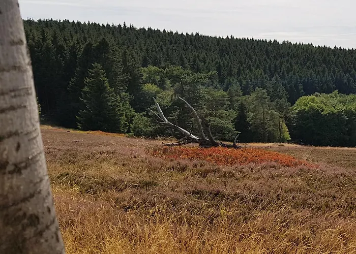 Christina Feriehus *